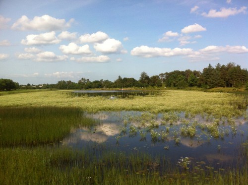 Castlebar Lake.