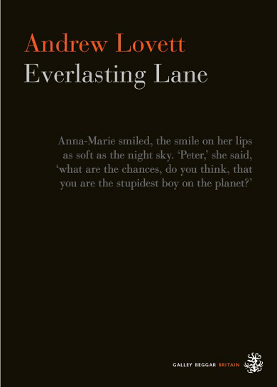 The cover of 'Everlasting Lane' by Andrew Lovett.