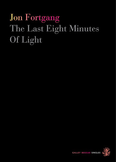 The cover of 'The Last Eight Minutes of Light' by Jon Fortgang.